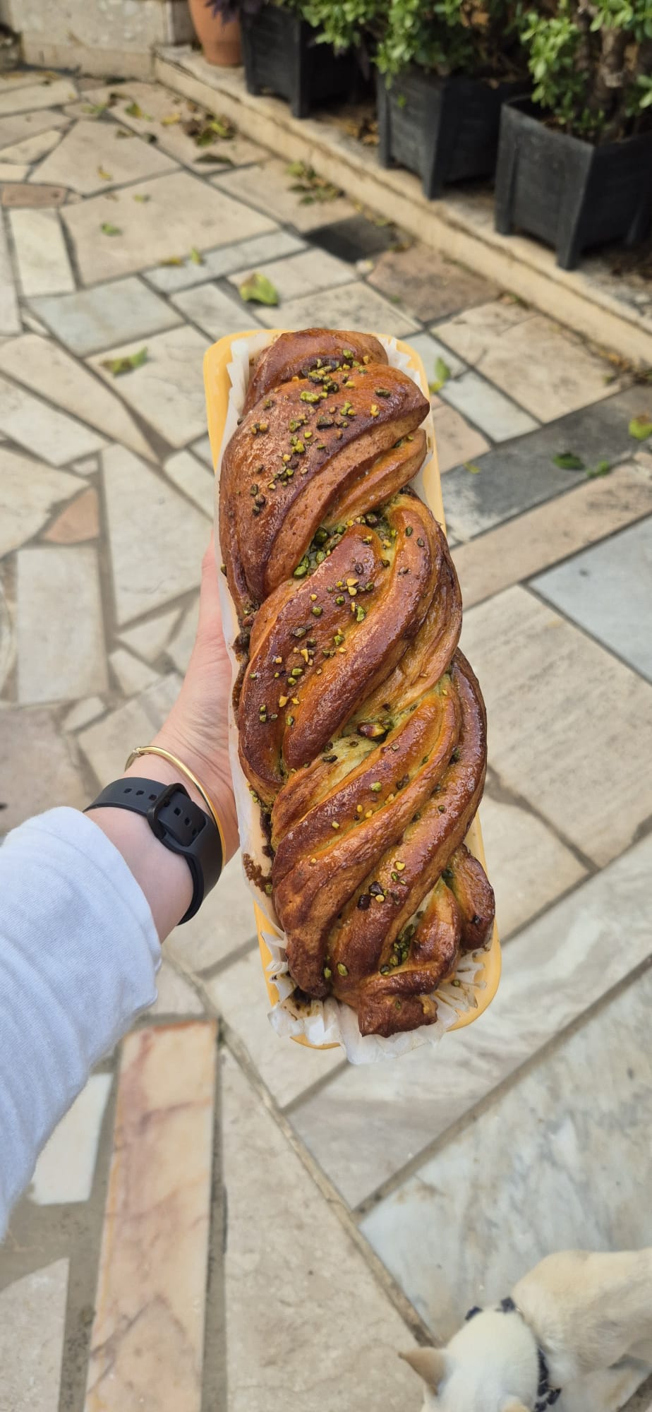 5 טעויות שמחרבות עוגות שמרים (ומה למדתי מהתנור שלי אתמול)